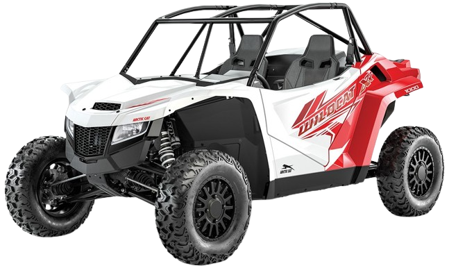 Arctic Cat Wildcat
